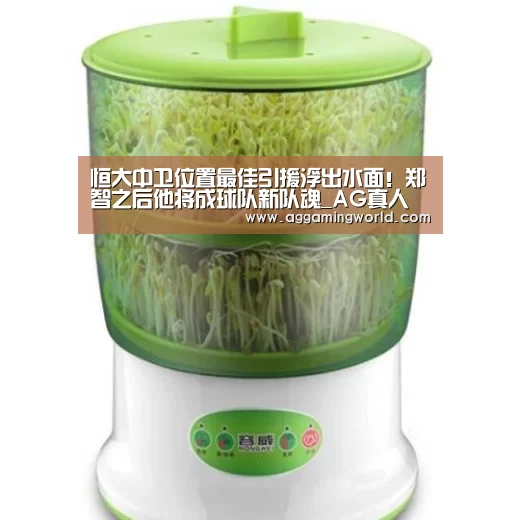 恒大中卫位置最佳引援浮出水面!郑智之后他将成球队新队魂_AG真人(图4) 注册教程