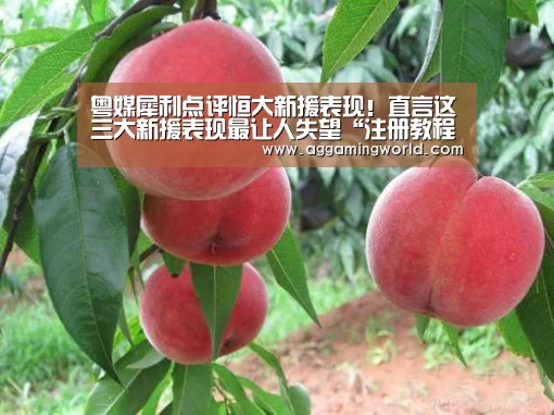 粤媒犀利点评恒大新援表现！直言这三大新援表现最让人失望“注册教程”