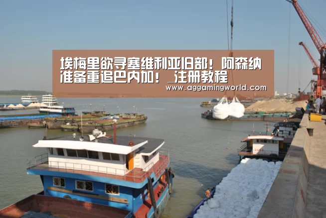 埃梅里欲寻塞维利亚旧部!阿森纳准备重追巴内加!_注册教程(图1) AG真人